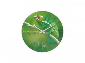 Часы настенные Nicole Time NT503 в Довольном - dovolnoe.mebel-nsk.ru | фото